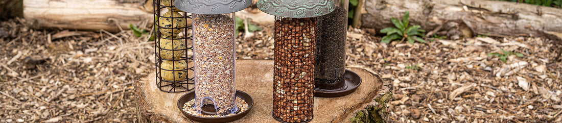 cleaning bird feeders