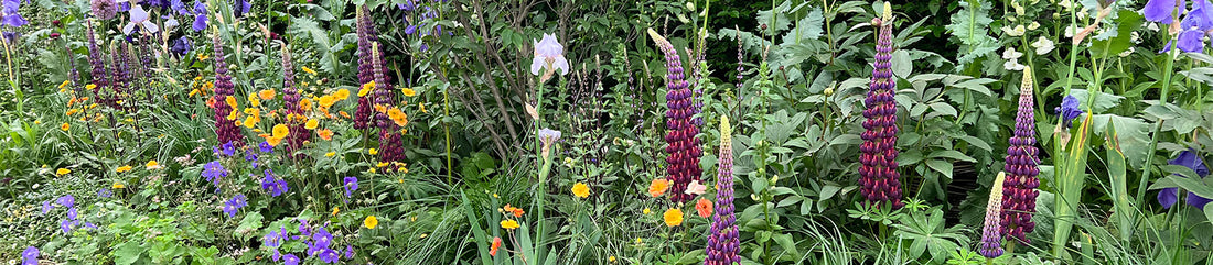 nature at chelsea flower show
