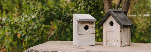 Maintaining your Nest Boxes