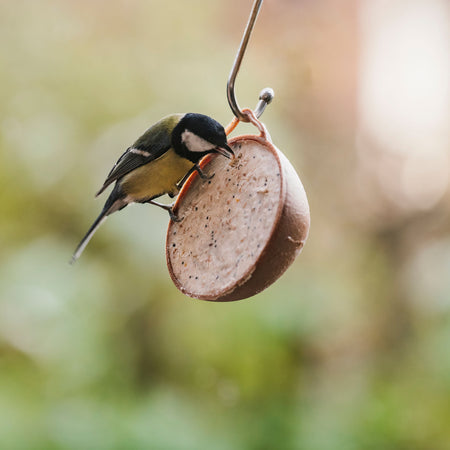Peckish Natural Balance Coco-Not® Wild Bird Feeder