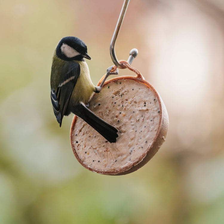 Peckish Natural Balance Coco-Not® Wild Bird Feeder