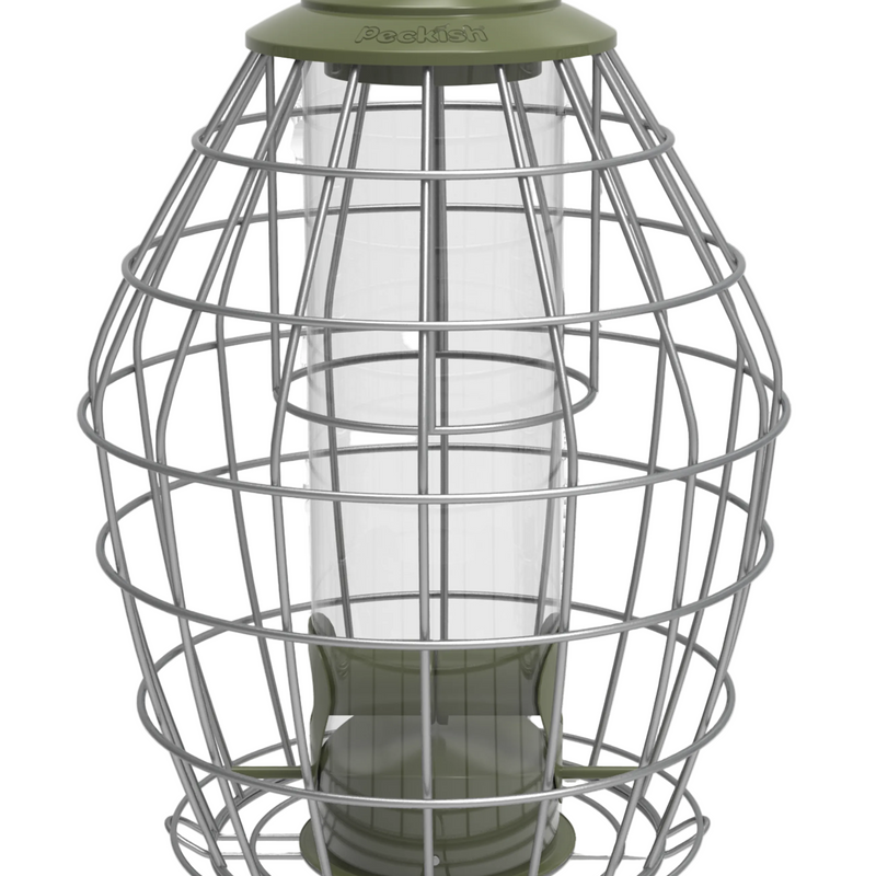 Peckish Canto Squirrel Proof Seed Feeder