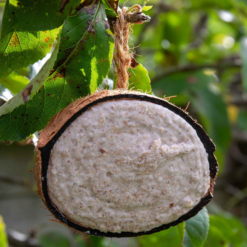 Twootz Fat Filled Coconut Halves 64 pack x 2
