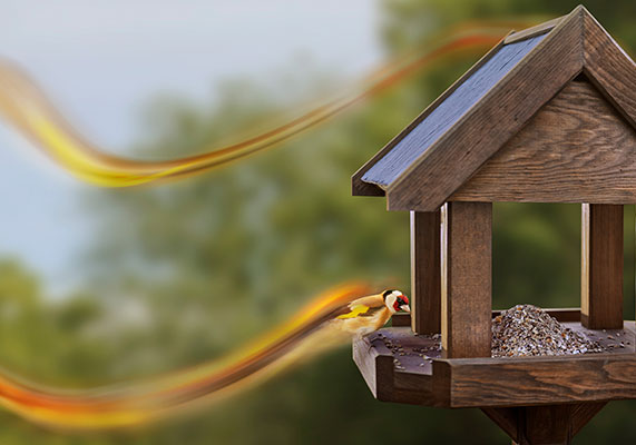 Peckish Bird Food