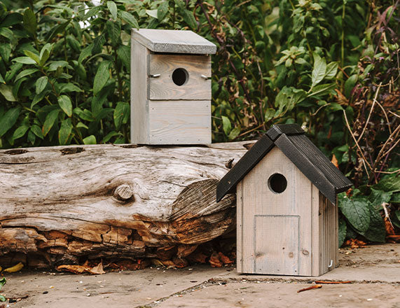 peckish nest boxes on ground