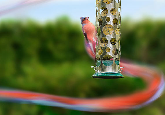 Peckish Bird Food
