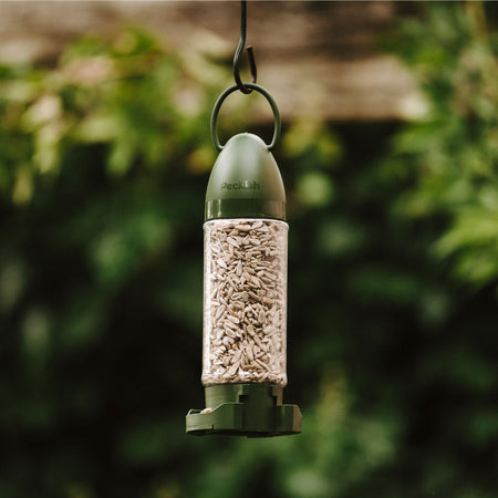 Peckish Sunflower Hearts Filled Feeder