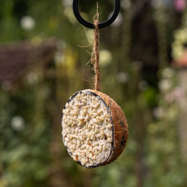 Peckish Extra Goodness Loaded Coco-Cups