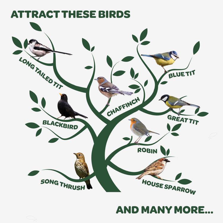 Peckish No Grow Seed Mix