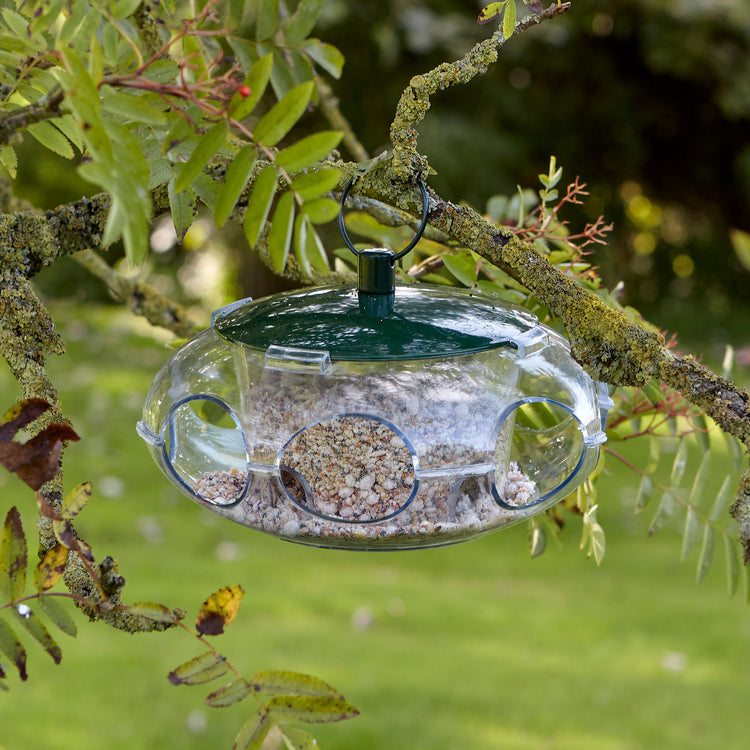 Peckish Small Bird Feeder