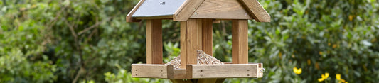 How to Choose a Bird Table