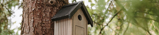 where to site nest boxes