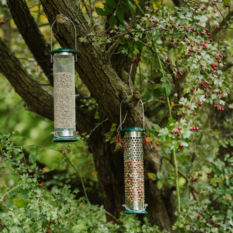 Peckish All Weather Suet & Peanut Feeder
