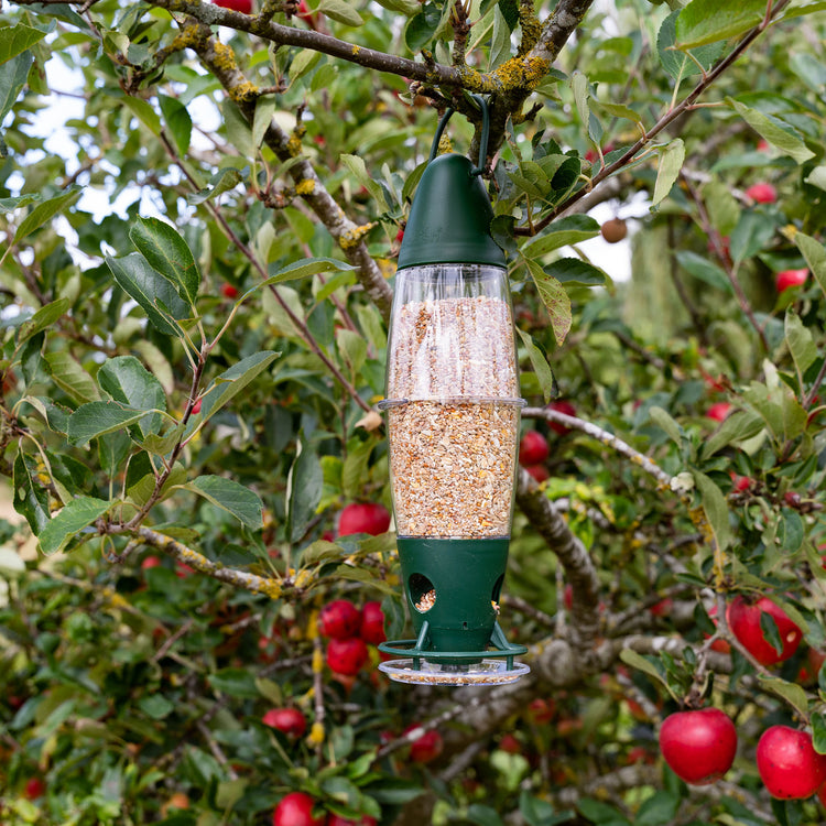 Peckish 3 Port Multi Seed Feeder