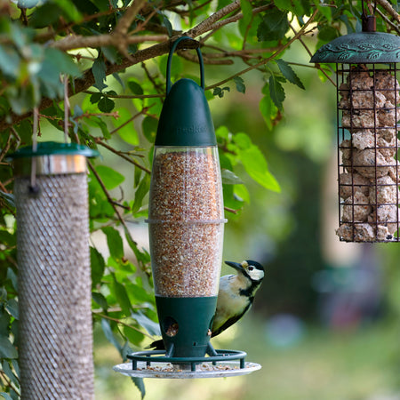 Peckish 3 Port Multi Seed Feeder