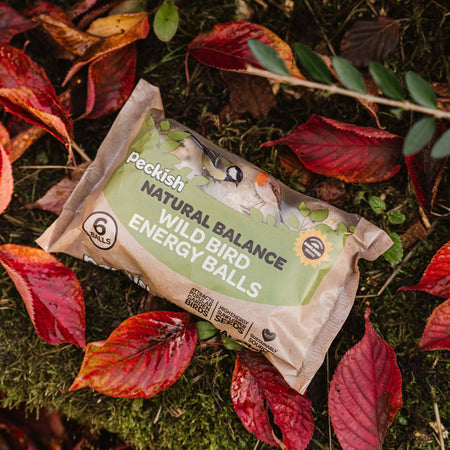 Peckish Natural Balance Energy Balls