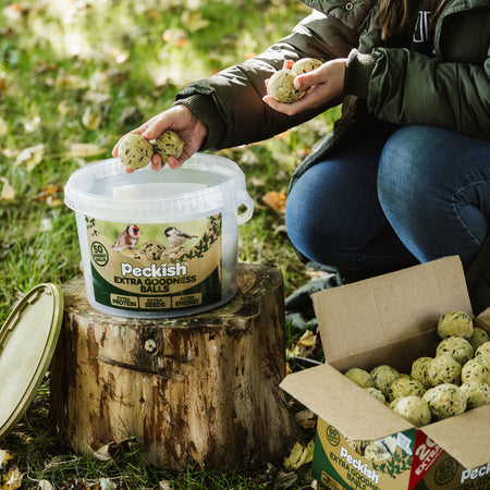 Peckish Extra Goodness Energy Balls 50 Tub