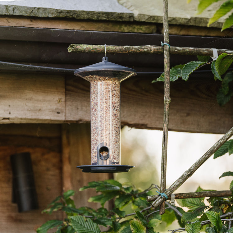 Peckish Funnel Seed Feeder