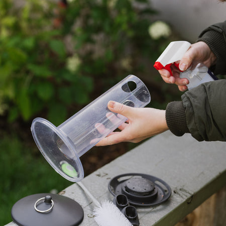 Peckish Funnel Seed Feeder