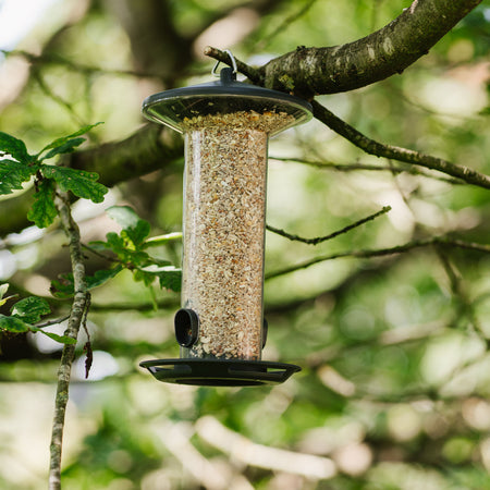 Peckish Funnel Seed Feeder