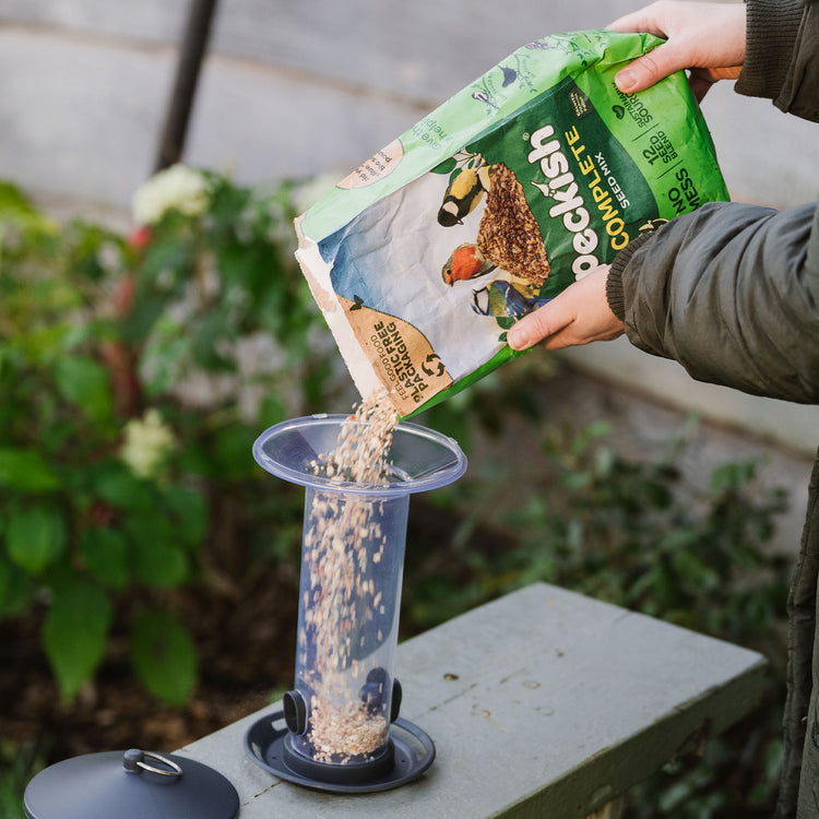 Peckish Funnel Seed Feeder