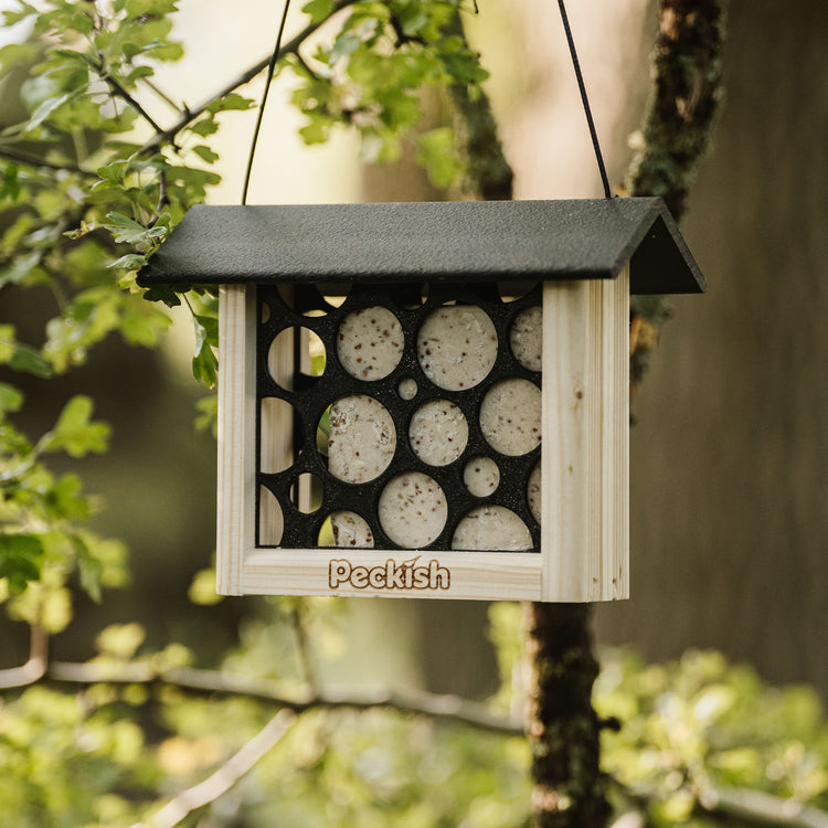 Peckish Woodland Feast Suet Cake Feeder