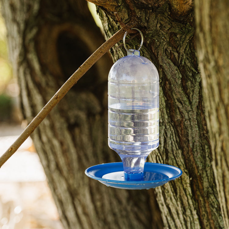 Peckish Bird Water Drinker