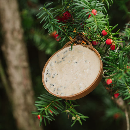 Peckish Complete EcoFeast Feeder