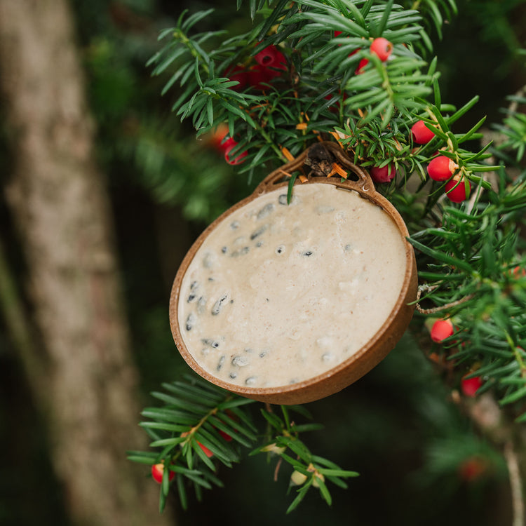 Peckish Complete EcoFeast Feeder