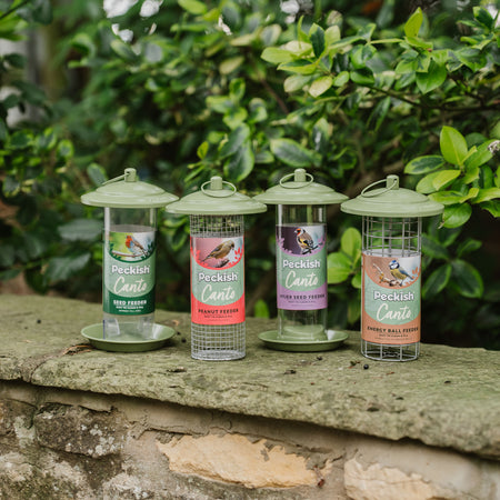 Peckish Canto Energy Ball Feeder