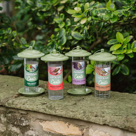 Peckish Canto Nyjer Seed Feeder
