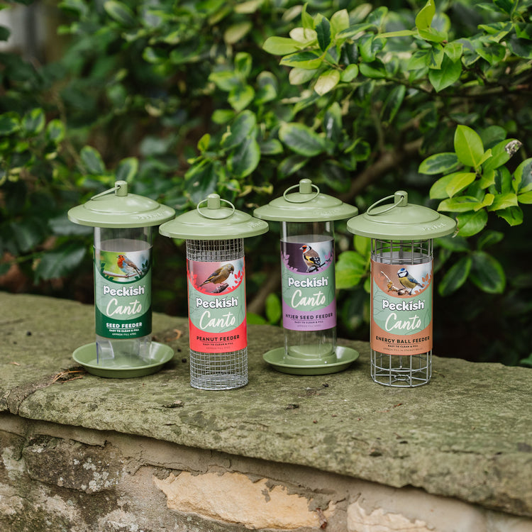Peckish Canto Nyjer Seed Feeder