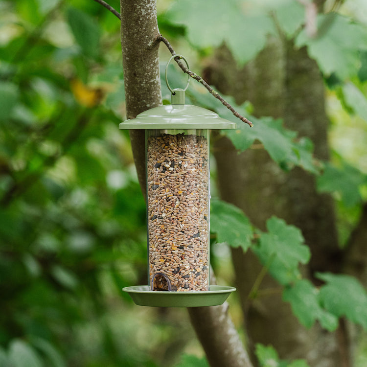 Peckish Canto Seed Feeder
