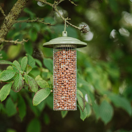 Peckish Canto Peanut Feeder