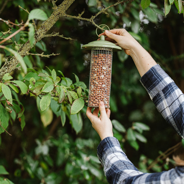 Peckish Canto Peanut Feeder