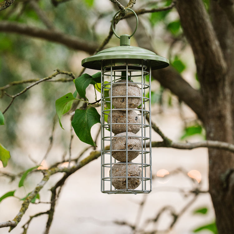 Peckish Canto Energy Ball Feeder
