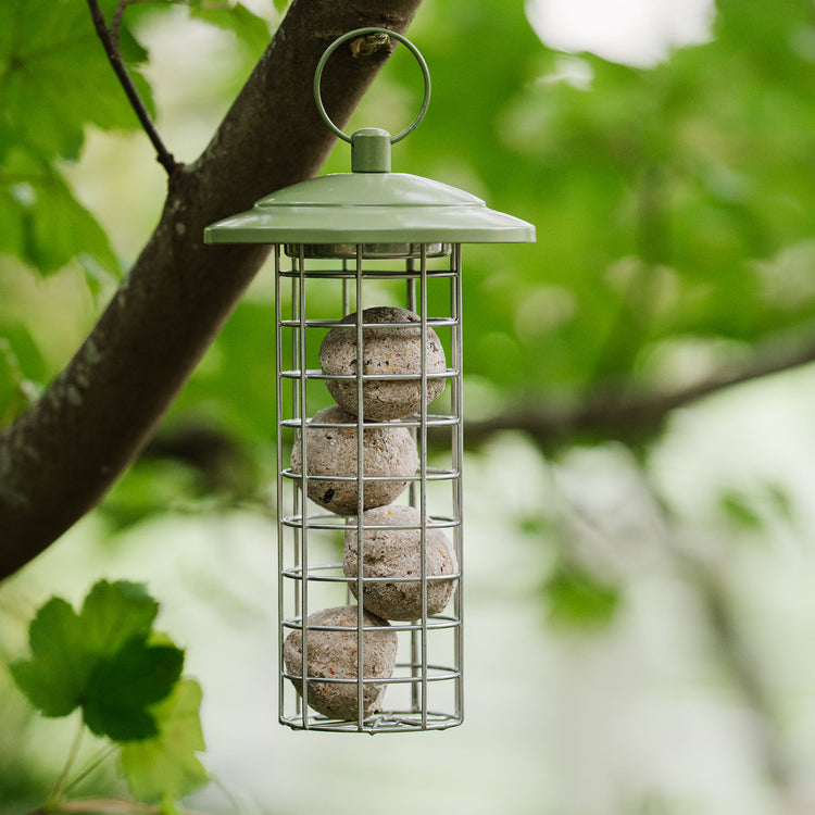 Peckish Canto Energy Ball Feeder