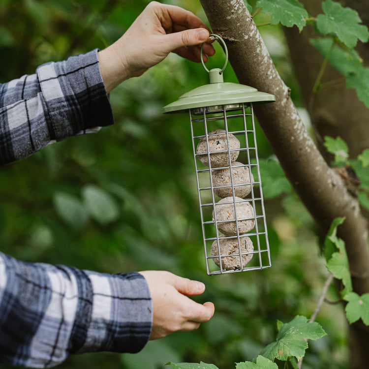 Peckish Canto Energy Ball Feeder