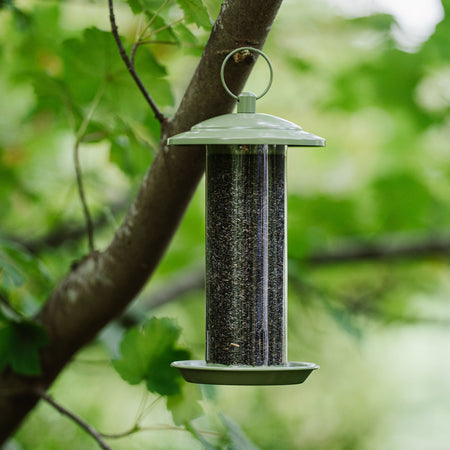 Peckish Canto Nyjer Seed Feeder