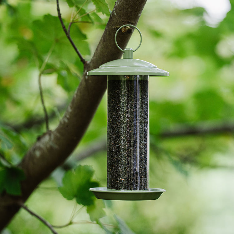 Peckish Canto Nyjer Seed Feeder