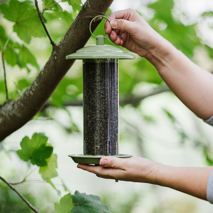 Peckish Canto Nyjer Seed Feeder