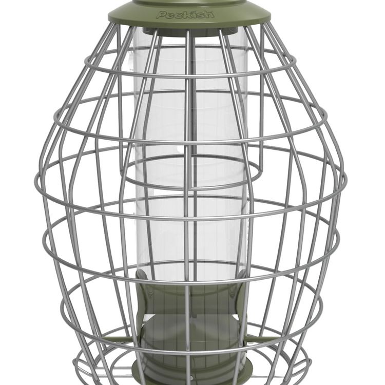 Peckish Canto Squirrel Proof Seed Feeder