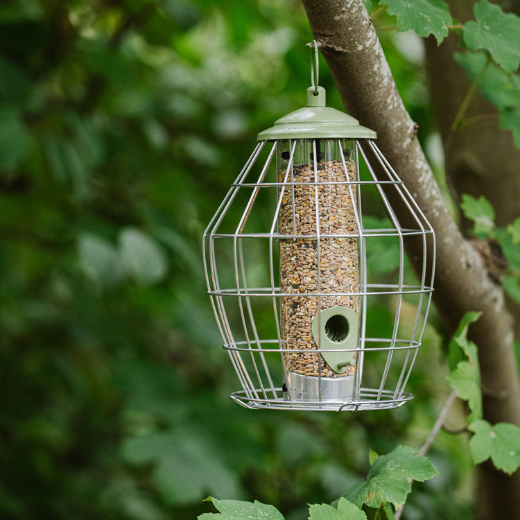 Peckish Canto Squirrel Proof Seed Feeder