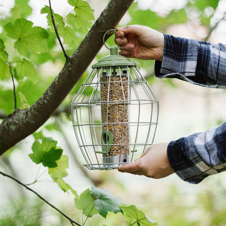 Peckish Canto Squirrel Proof Seed Feeder