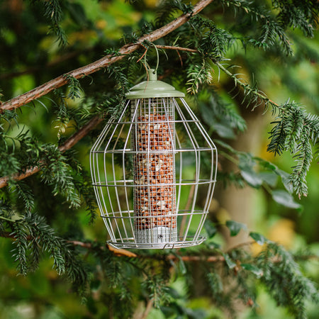 Peckish Canto Squirrel Proof Peanut Feeder