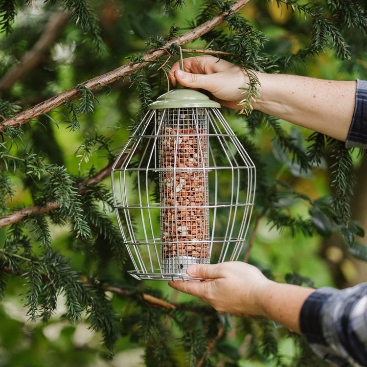 Peckish Canto Squirrel Proof Peanut Feeder