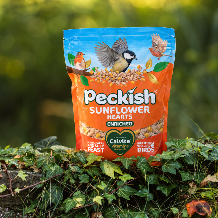 Peckish Sunflower Hearts Enriched 1kg