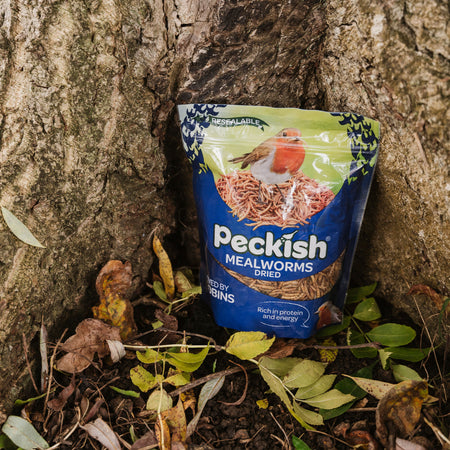 Peckish Mealworms 200g