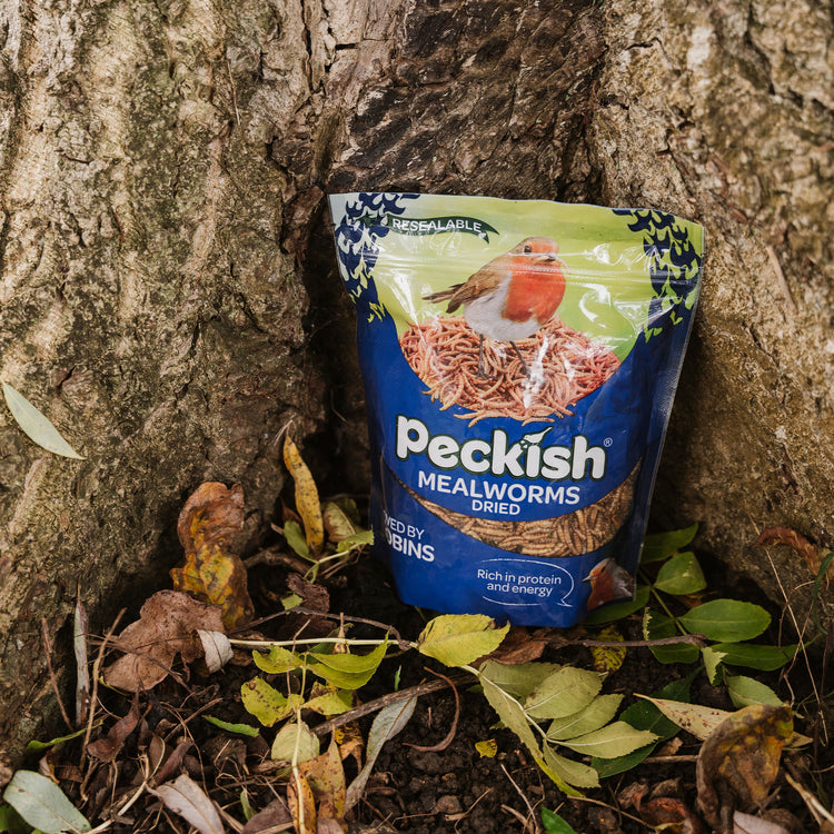 Peckish Mealworms 200g