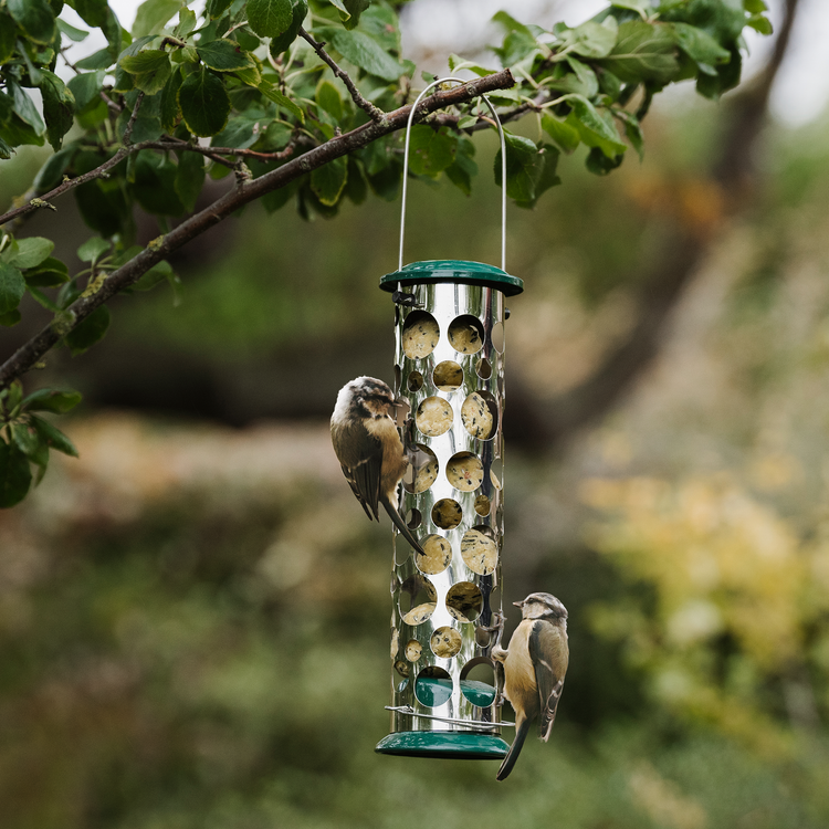 Peckish All Weather Energy Ball Feeder